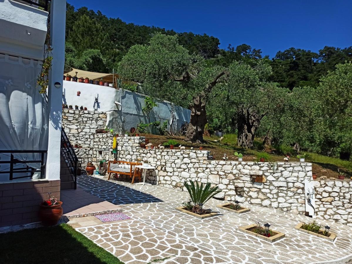 Studios Maria Chrysi Ammoudia Dış mekan fotoğraf