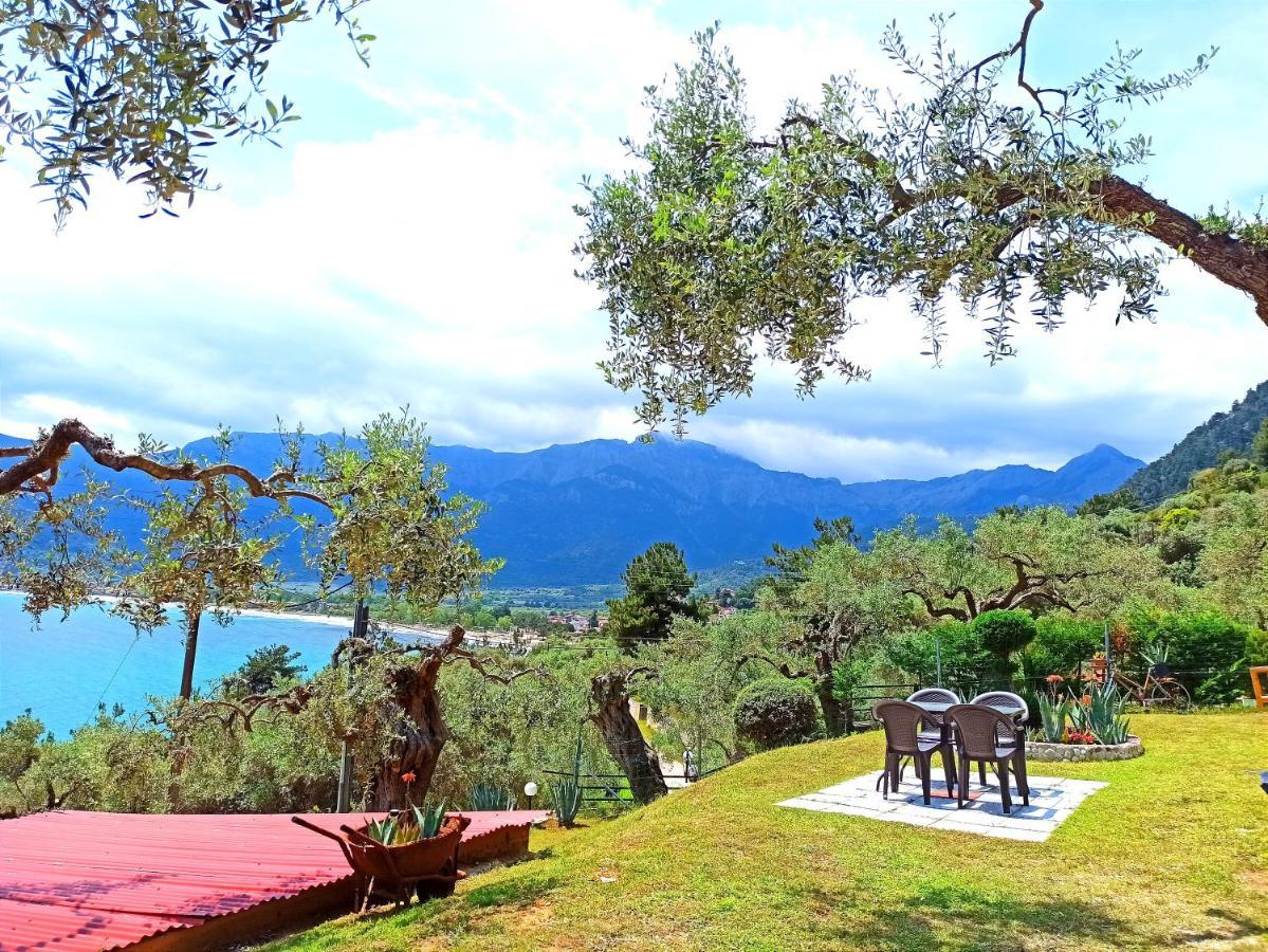 Studios Maria Chrysi Ammoudia Dış mekan fotoğraf
